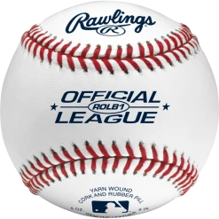 Rawlings ROLB1 Official League Baseballs: ROLB1
