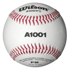 WILSON SPORTING GOODS Wilson A1001BFS Collegiate Baseball (Dozen): WTA1001BFS