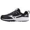 Mizuno Ambition 2 All Surface Low Women's Turf Shoe
