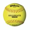 WILSON SPORTING GOODS Wilson Collegiate Fastpitch Softball 12 Inch (Dozen): A9010BSST