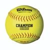 WILSON SPORTING GOODS Wilson 11" USA (ASA) Fastpitch Softball (Dozen): A9231B