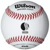 WILSON SPORTING GOODS Wilson A1030BUSSSA Official League Baseball (Dozen)