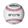 WILSON SPORTING GOODS Wilson A1082BR1 Babe Ruth Baseball (Dozen)